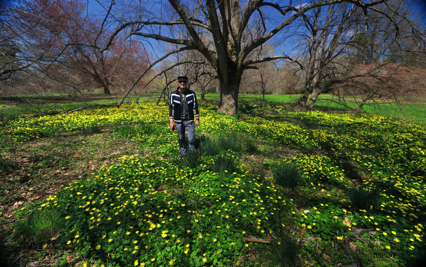 Celebrate Arbor Day: Plant Trees for a Greener Future with Atlantic City Electric