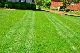 Eco-Friendly Lawn Care Tips: Enhance Your Outdoor Space with Scotts