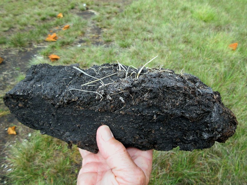 Responsible Peat Sourcing & Restoration - Benefits & Practices