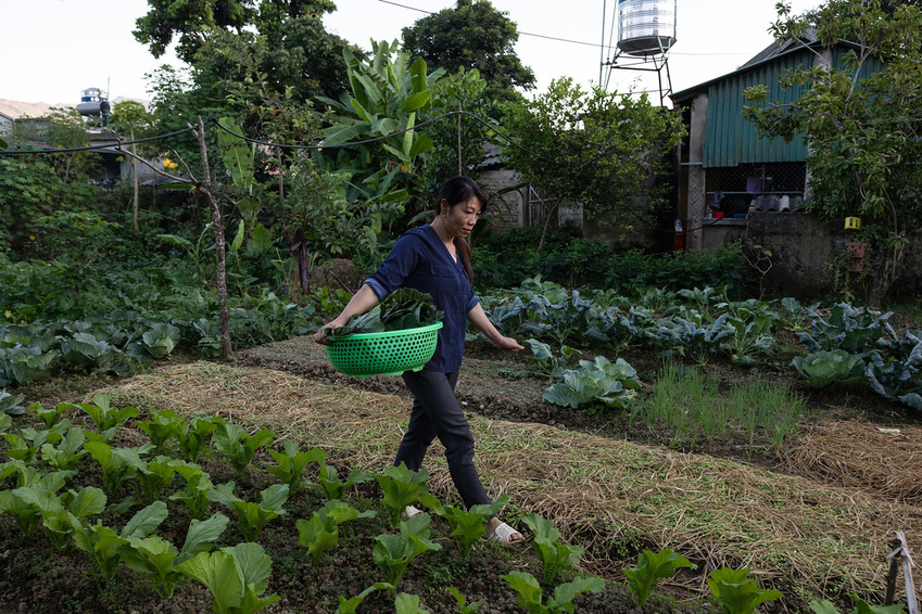 GroMoreGood Garden Grants: Empowering Head Start with Green Spaces & Learning