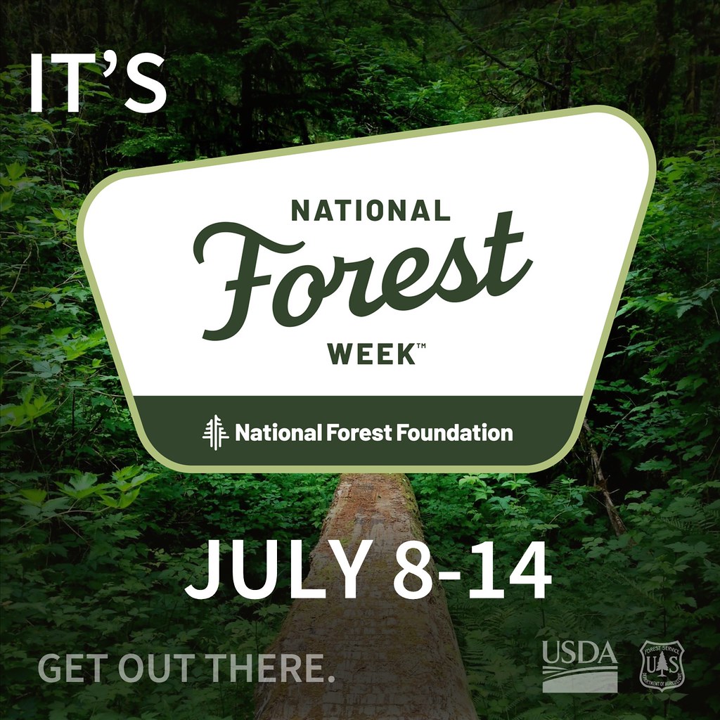 National Forest Week: Celebrating Conservation and Community Benefits