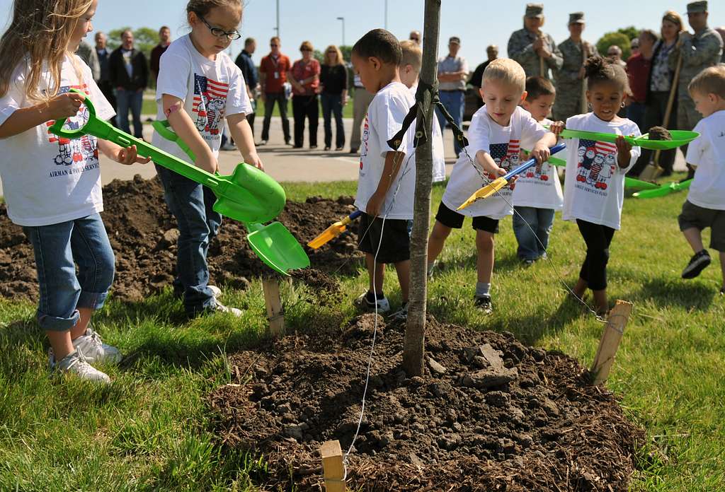 National Tree Canopy Assessment Tool Empowers Cities to Plant and Protect Trees