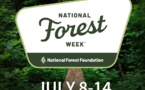 National Forest Week: Celebrating Conservation and Community Benefits