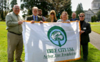 Arbor Day Foundation Launches Impact Fund to Boost Climate Innovation and Tree Solutions