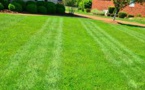 Eco-Friendly Lawn Care Tips: Enhance Your Outdoor Space with Scotts