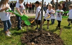 National Tree Canopy Assessment Tool Empowers Cities to Plant and Protect Trees