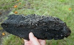 Responsible Peat Sourcing &amp; Restoration - Benefits &amp; Practices