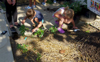 GroMoreGood Grants: Empowering Youth Through Gardening in 2023