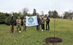 Arbor Day Foundation Reaches 95% of U.S. Neighborhoods with Tree Planting Efforts